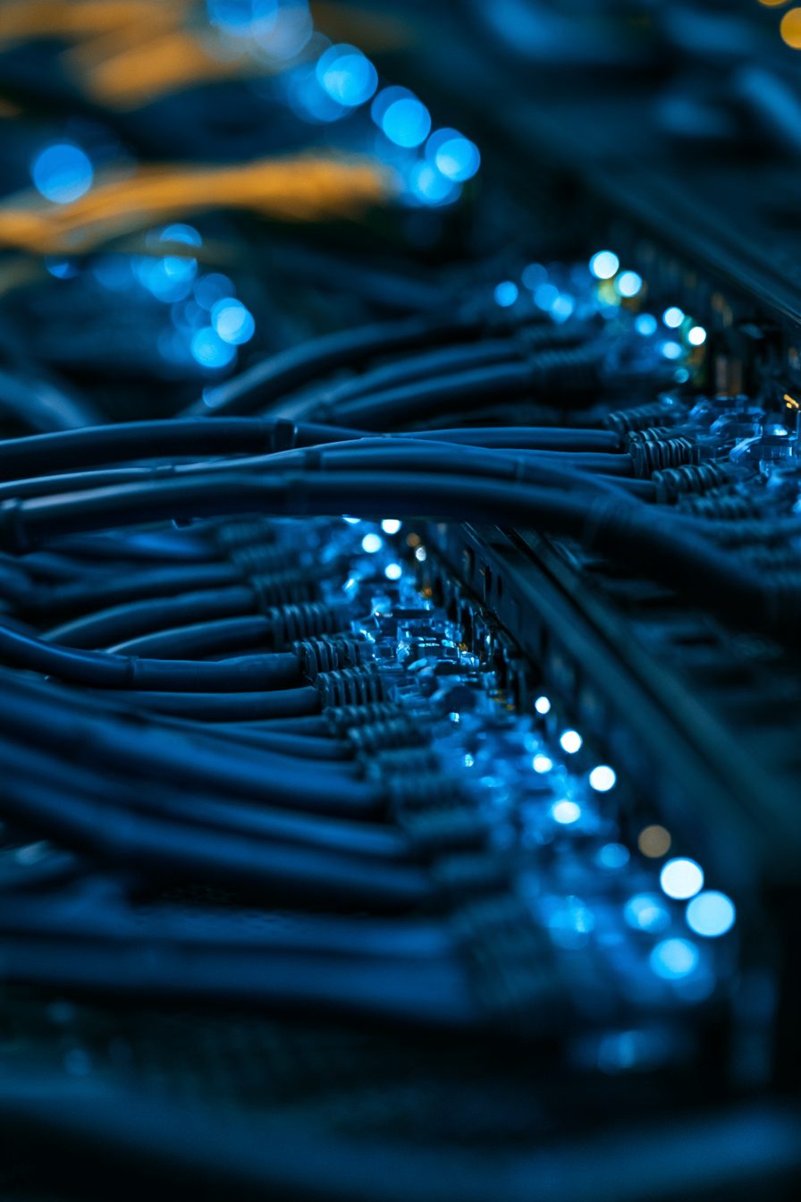 Gros plan sur un switch réseau aux câbles bien rangés, éclairé de petites lumières bleues